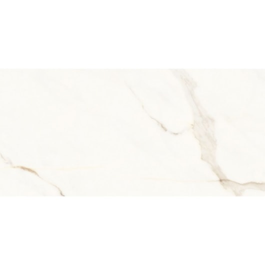 Porcelanato Portinari Opera Covelano Natural 58,4x117cm Retificado - Imagem principal - 9420827c-df95-4de7-ad12-dbe7e4b52ad8