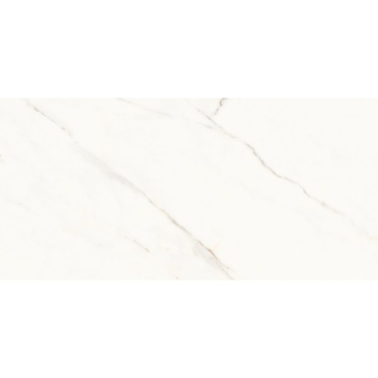 Porcelanato Portinari Opera Covelano Natural 58,4x117cm Retificado - Imagem principal - c4d75740-2e3b-4307-83fe-25739a1acb4c