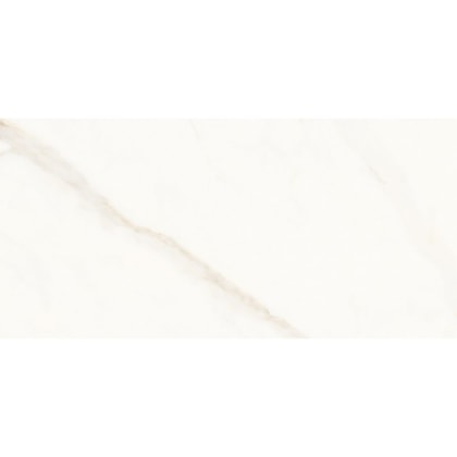 Porcelanato Portinari Opera Covelano Natural 58,4x117cm Retificado