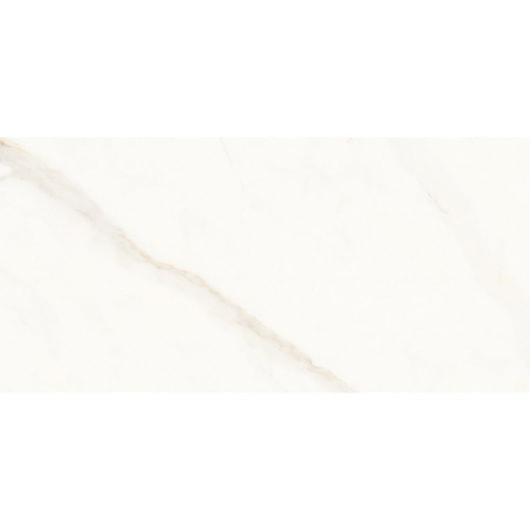 Porcelanato Portinari Opera Covelano Natural 58,4x117cm Retificado - Imagem principal - ab675ab1-66b1-42c4-96e3-d47a6a4268df
