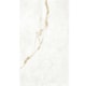 Porcelanato Portinari Paraná Gold Wh Natural 90x180cm Retificado - a723a297-daec-4f44-a475-94d16ec8e78a