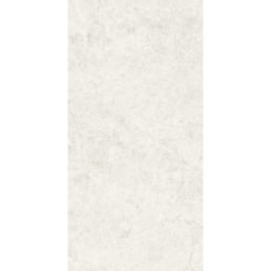 Porcelanato Portinari Ritual Ofw Hard 60x120cm Retificado