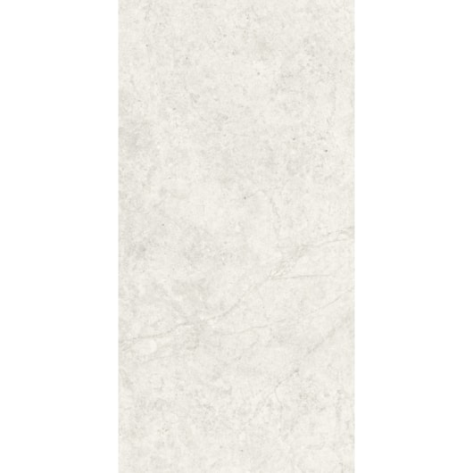 Porcelanato Portinari Ritual Ofw Natural 60x120cm Retificado - Imagem principal - c0d1e3a6-de0f-4ba0-8a8d-e1afd8de92fa