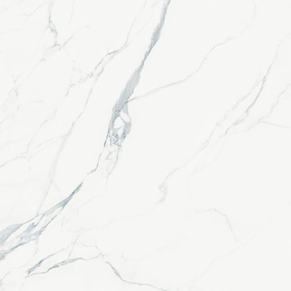 Porcelanato Retificado Ballet Statuario Wh Natural Portinari 120X120Cm