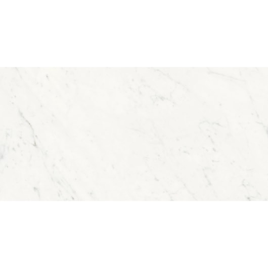 Porcelanato Retificado Lumina Carrara Natural Portinari 60X120Cm - Imagem principal - 22113366-8893-490d-81ac-1ec650903820