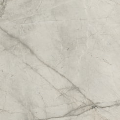 Porcelanato Retificado Tesoro Silver Root Polido Portinari 120X240Cm