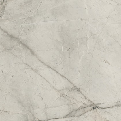 Porcelanato Retificado Tesoro Silver Root Polido Portinari 120X240Cm