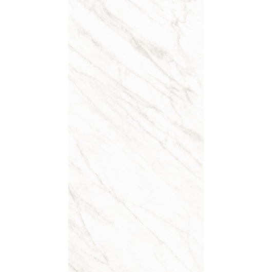 Porcelanato Roca Alpe Mate 60x120cm Retificado  - Imagem principal - 1c5e3bd8-d09c-4dd9-94c4-78df98260c0f