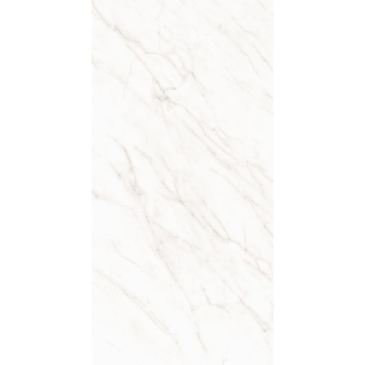 Porcelanato Roca Alpe Mate 60x120cm Retificado  - Imagem principal - 092383fc-c530-4b53-9529-126302b94f47