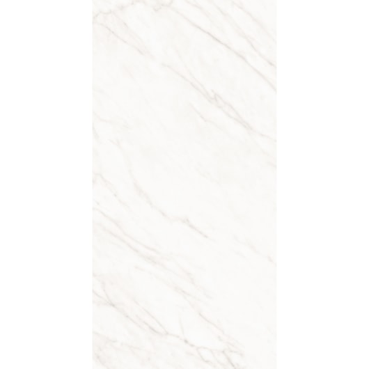 Porcelanato Roca Alpe Mate 60x120cm Retificado  - Imagem principal - c488cdcd-9bbf-4e6c-8d1e-5409a1d0e7cb