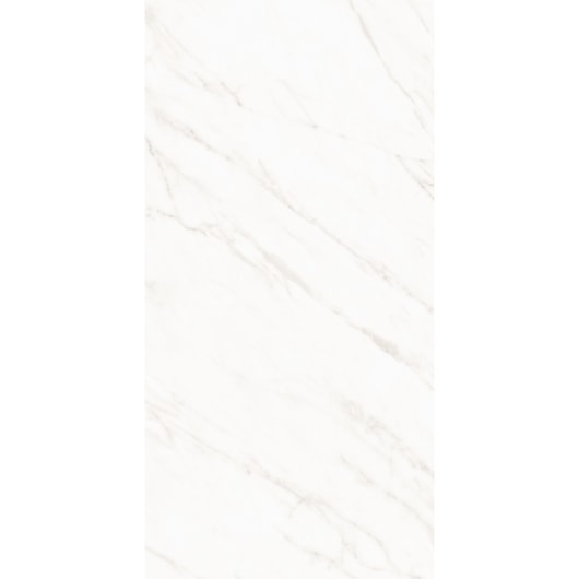 Porcelanato Roca Alpe Mate 60x120cm Retificado  - Imagem principal - e343742b-7bde-4921-9840-9d2049081a79