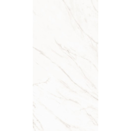 Porcelanato Roca Alpe Mate 60x120cm Retificado  - Imagem principal - 8150e93b-7115-436d-8e97-4a3e9d9b2711