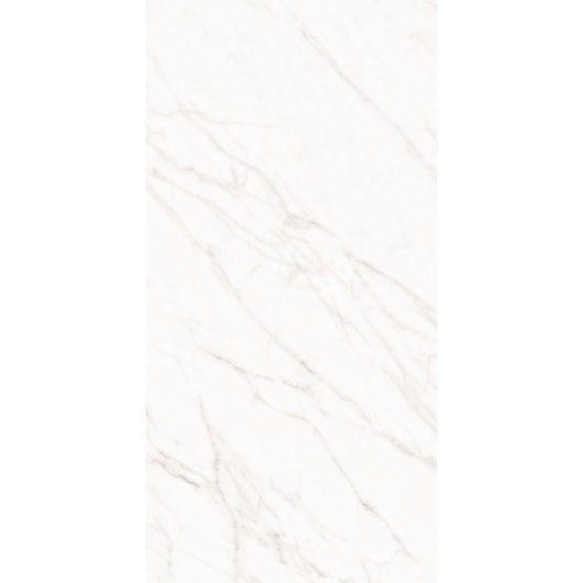 Porcelanato Roca Alpe Mate 60x120cm Retificado  - Imagem principal - d25fb367-94c3-41e3-b3e0-542075531f0f