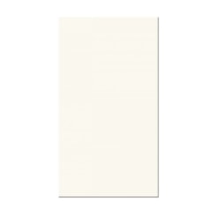 Revestimento Biancogres Tradizionale Bianco Brilhante 32x59,6cm Retificado