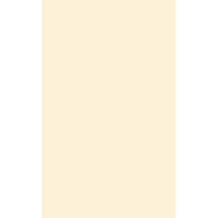 Revestimento Opus Beige Brilhante 33x59cm Retificado