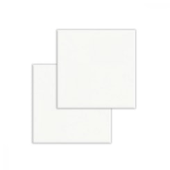 Revestimento Telado Para Fachada E Piscina Ceral Branco Brilhante 10x10cm