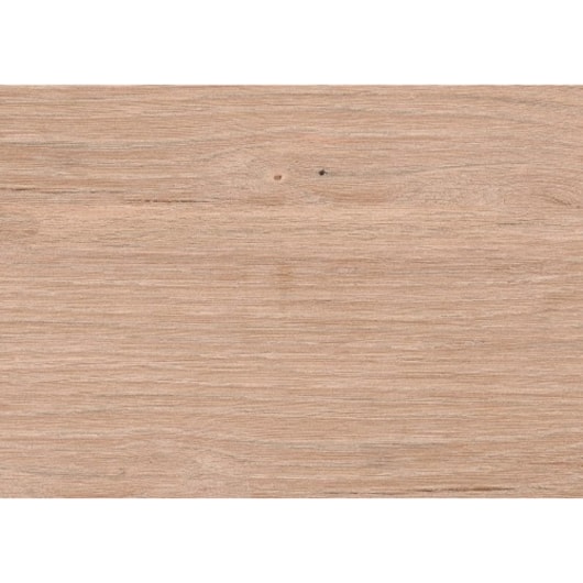 Teto Vinílico Origens Tauari 20X600Cm - Imagem principal - 420a4657-f3b5-4b39-965f-b7c6c7ce7f16