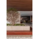 Teto Vinílico Wood Teca Castanho 20x600cm - 759ef35e-0005-4d3f-81b2-2437ab079e0c