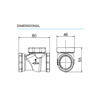 Válvula De Retenção Horizontal 1