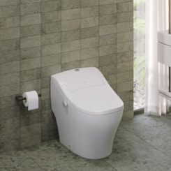 Vaso Sanitário Com Caixa Integrada Single Extreme Branco 220V Deca