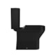 Vaso Sanitário Para Caixa Acoplada Axis Ébano Fosco Deca - 012a4de1-48c4-4248-865c-3a0f02f3d6ec